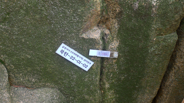fad31aff92111.jpg