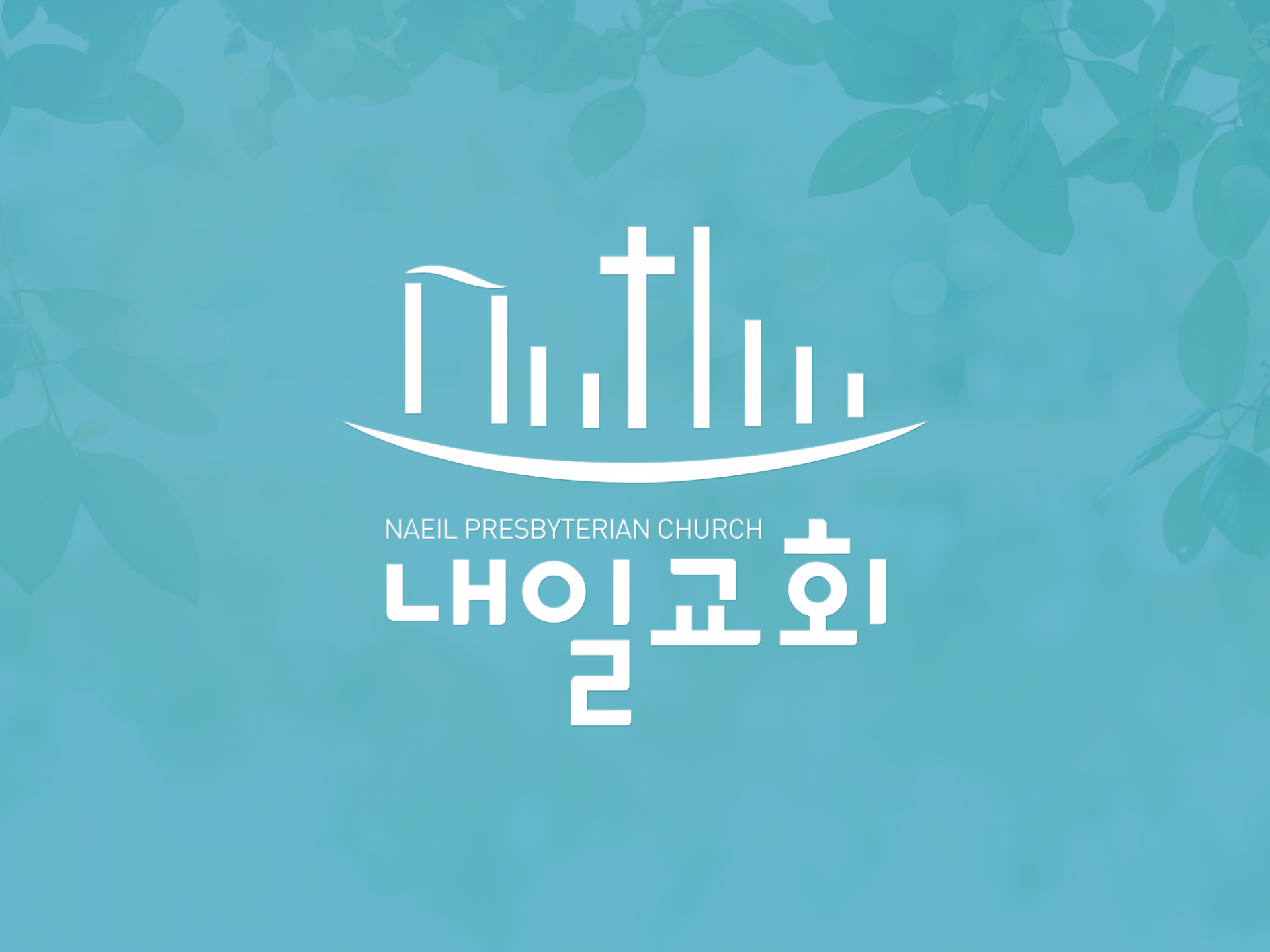 570fd88f1a0a6.png