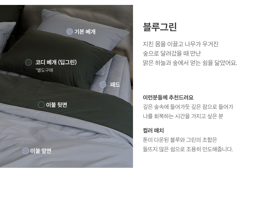 NEW 필굿 컴포트웰 플러스 알러지케어 이불