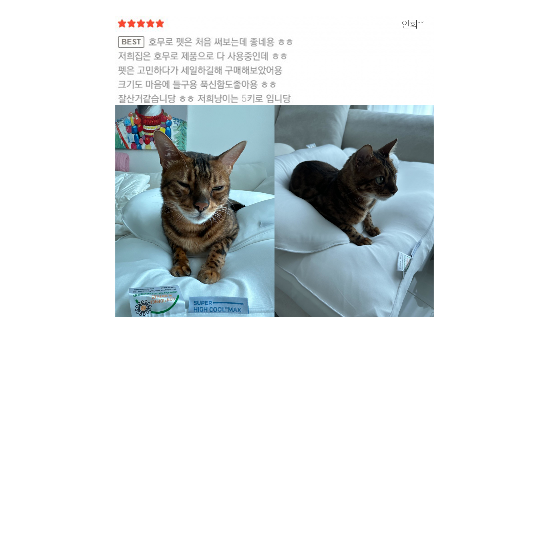 Funny & Sweet: My Roommate'S A Gumiho - scgmdkg
