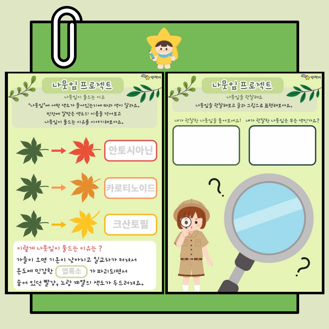 나뭇잎 프로젝트 : 반짜기