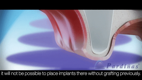 1ef0b220e8dd9.gif