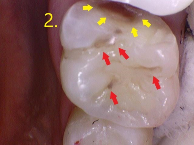 b18c6b08bf29c.jpg