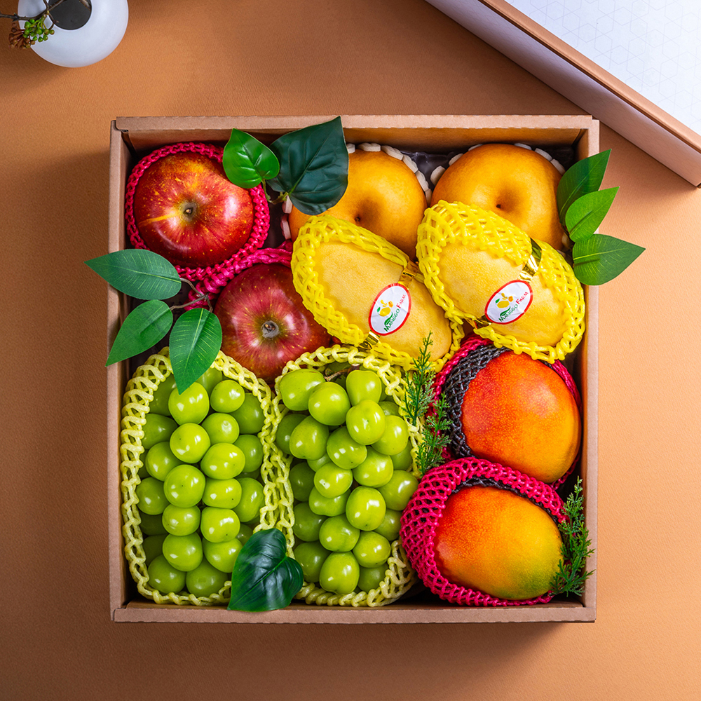 산해마을 VVIP 혼합특선세트 10수 5kg내외 