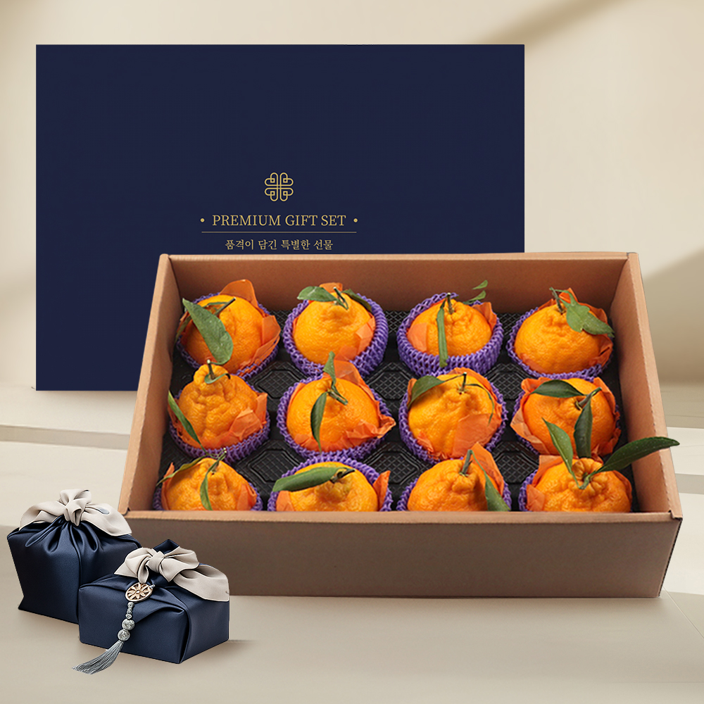 프리미엄 한라봉 선물세트 12수 5kg내외