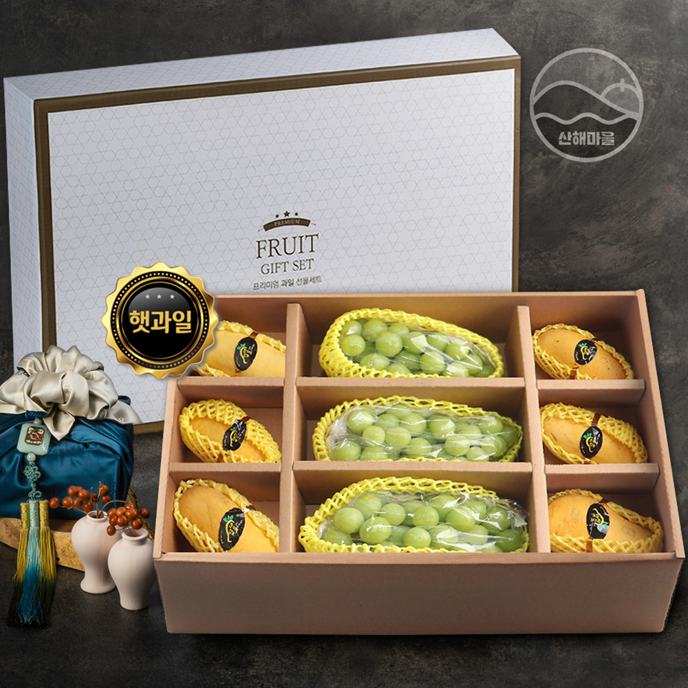 산해마을 골드망고 샤인머스캣 선물세트 9수 4.8kg내외