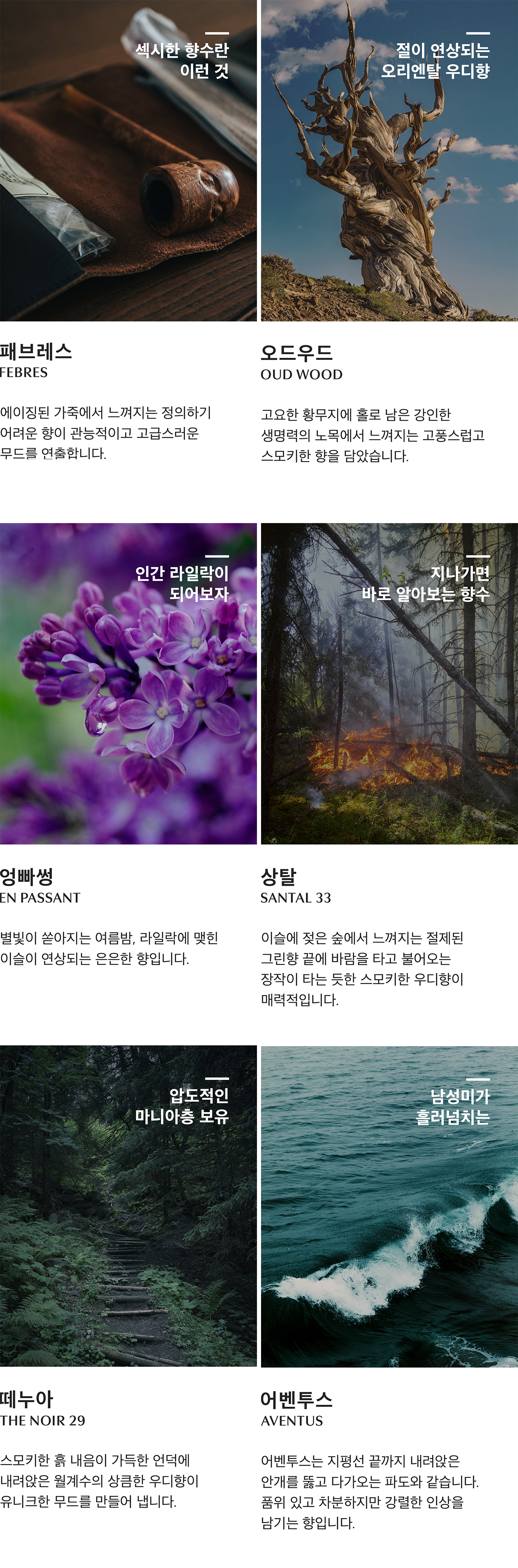 [54%] 니치향수 30ML 3개 세트