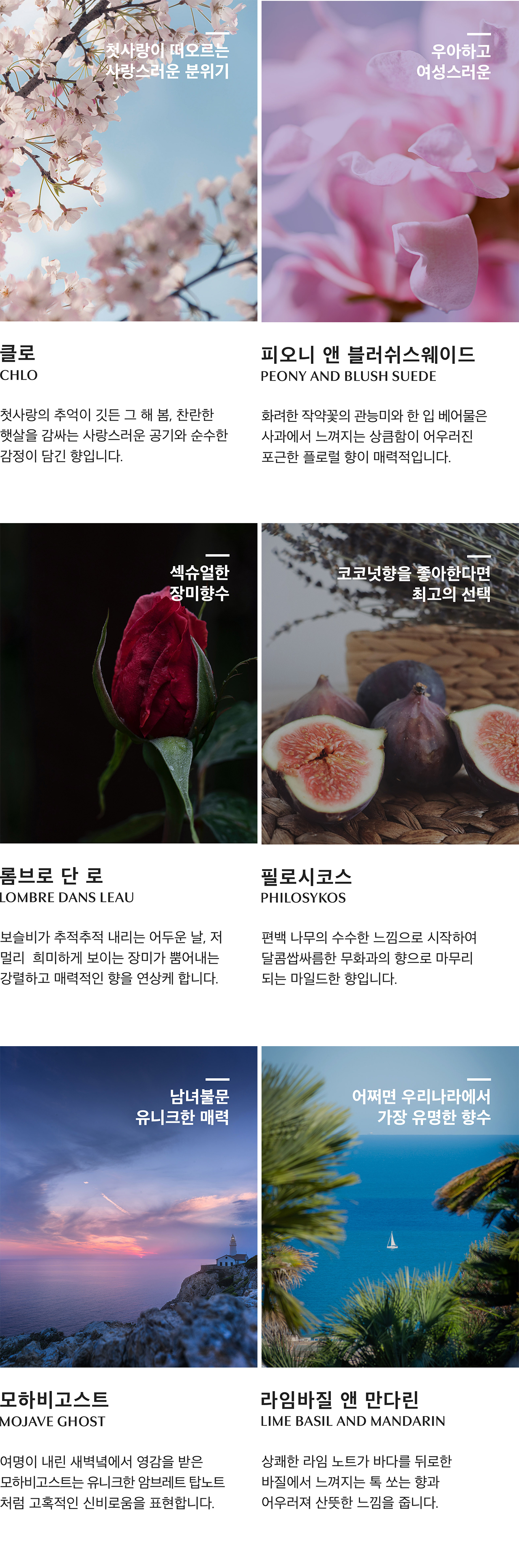 [54%] 니치향수 30ML 3개 세트