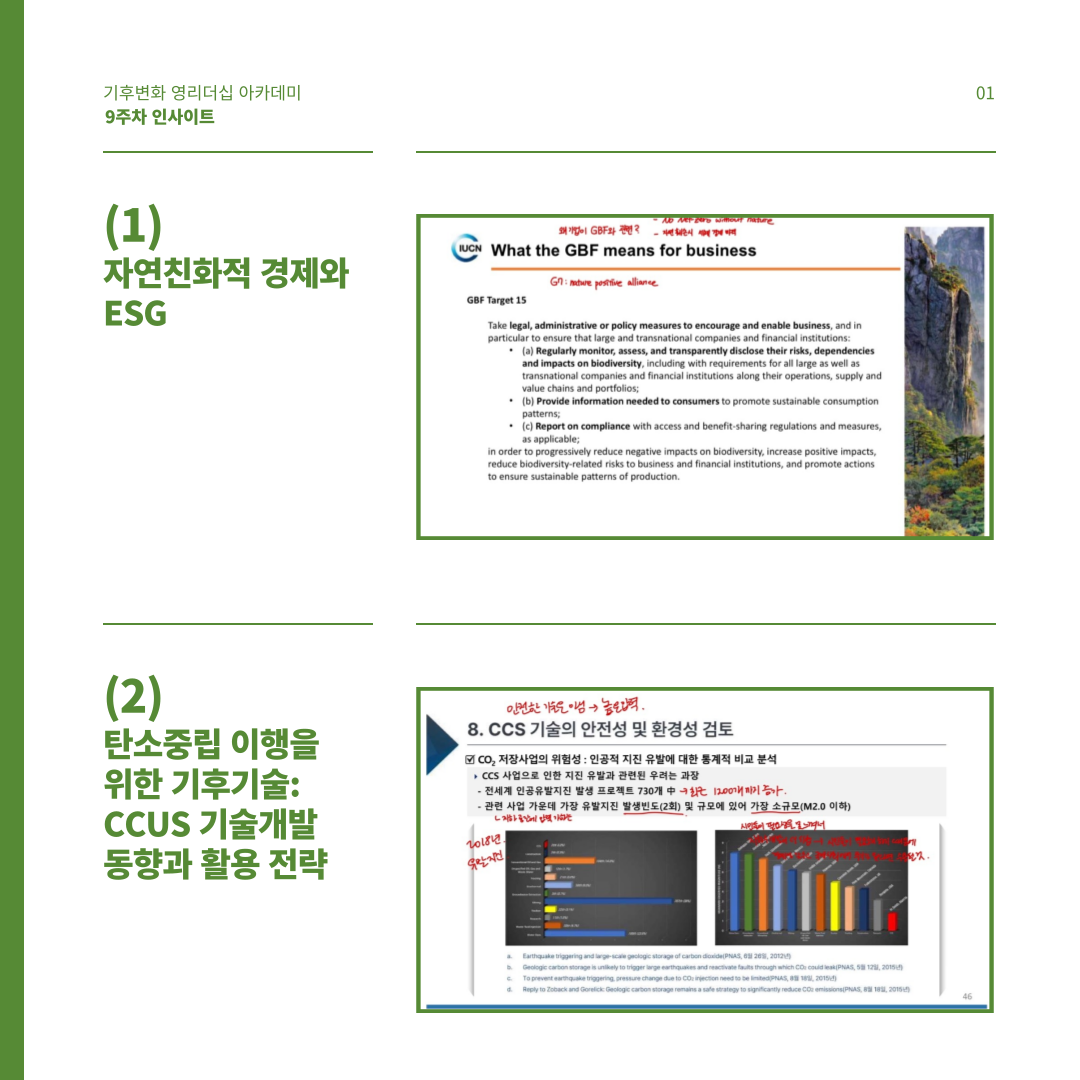 b2da55f47d3aa.png