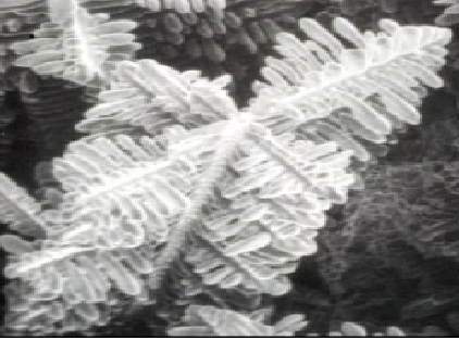 e1603203840e7.png