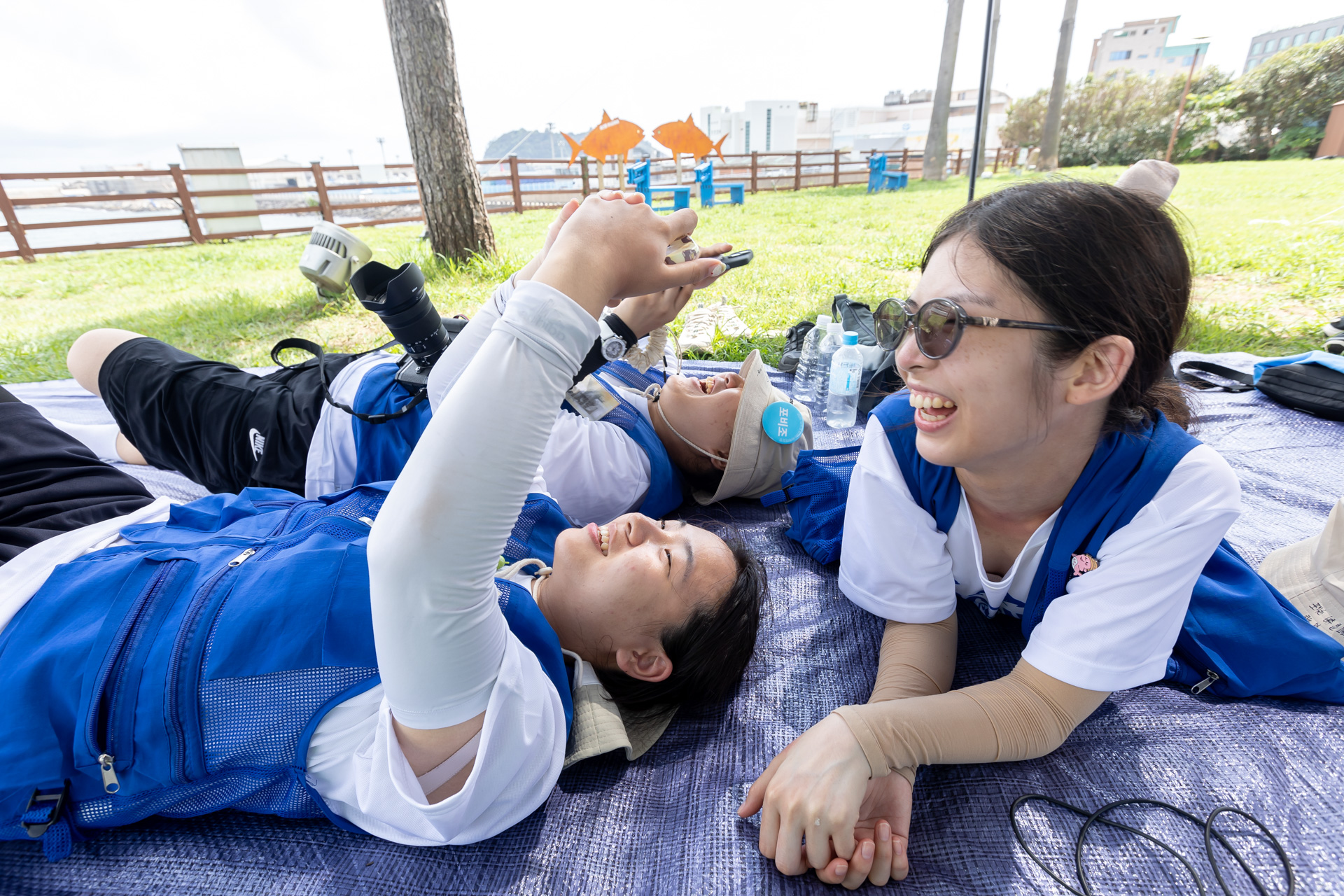 0dce29863e9a9.jpg