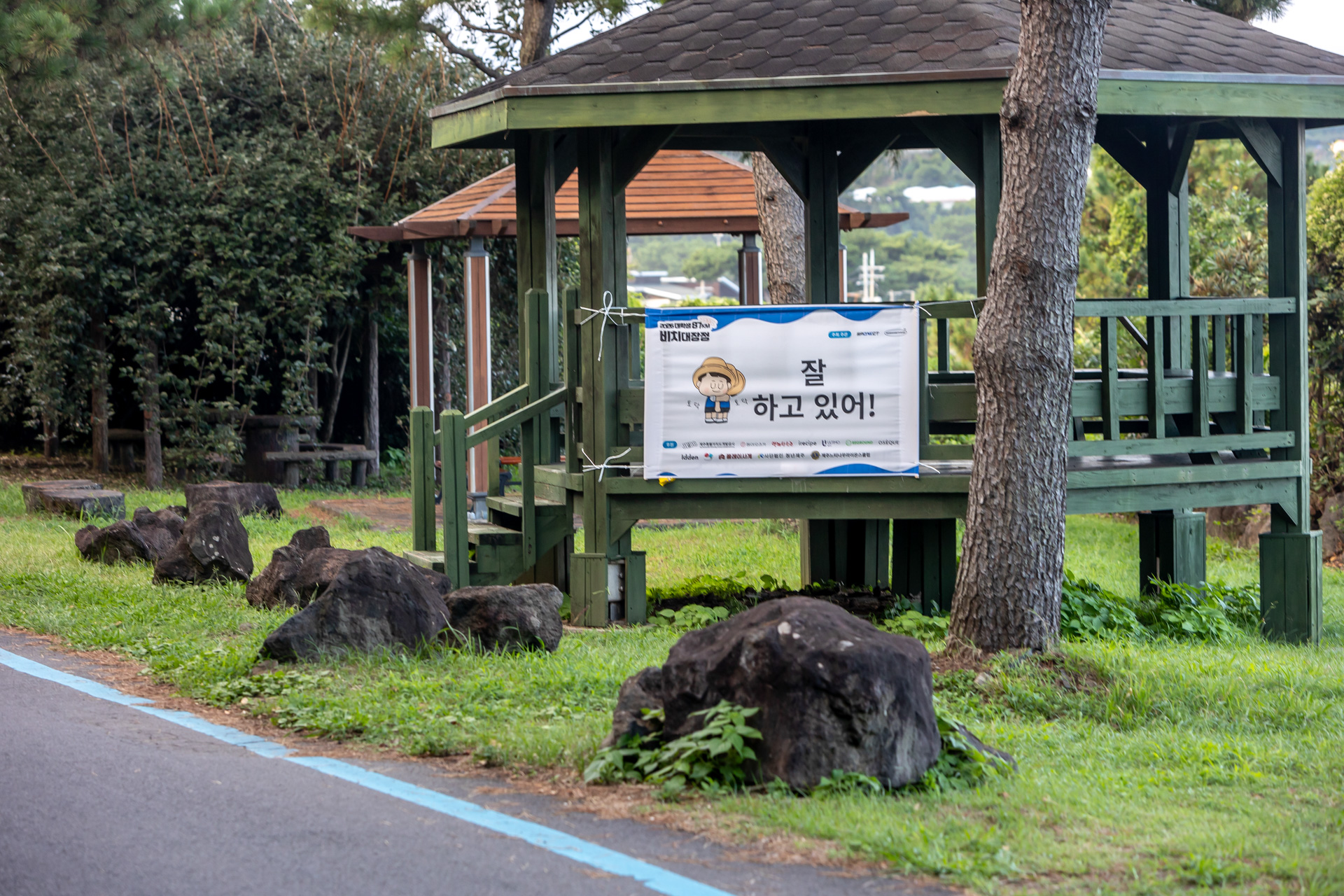 405e0d29067ae.jpg