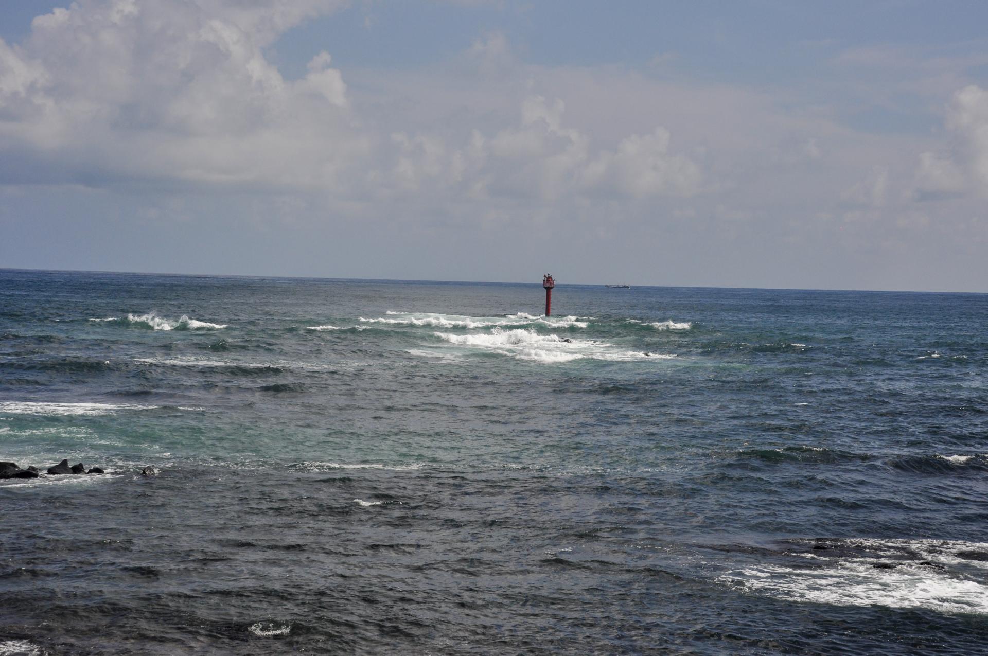 5c00ab792943b.jpg
