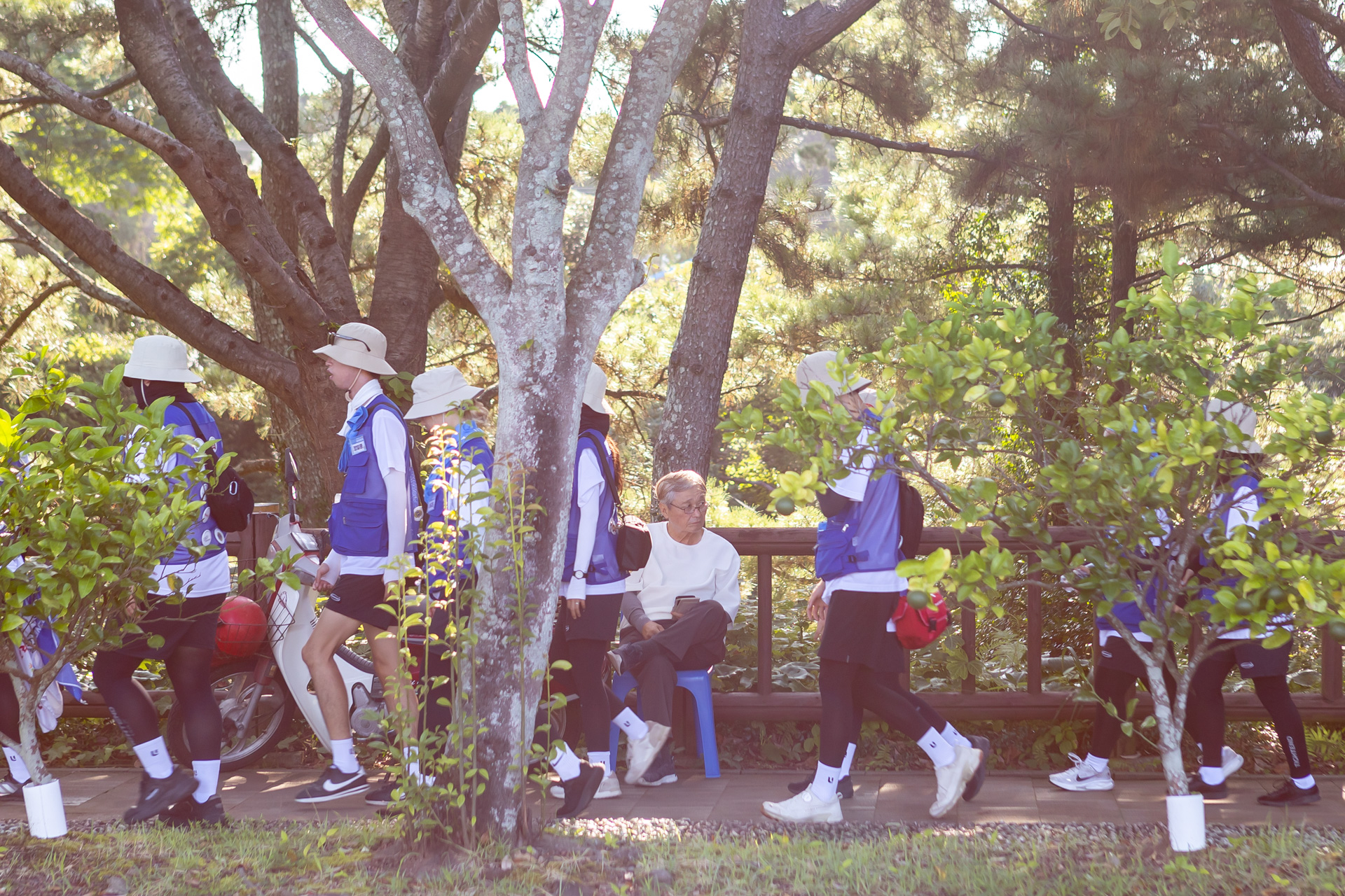 84bbc536b9ae7.jpg