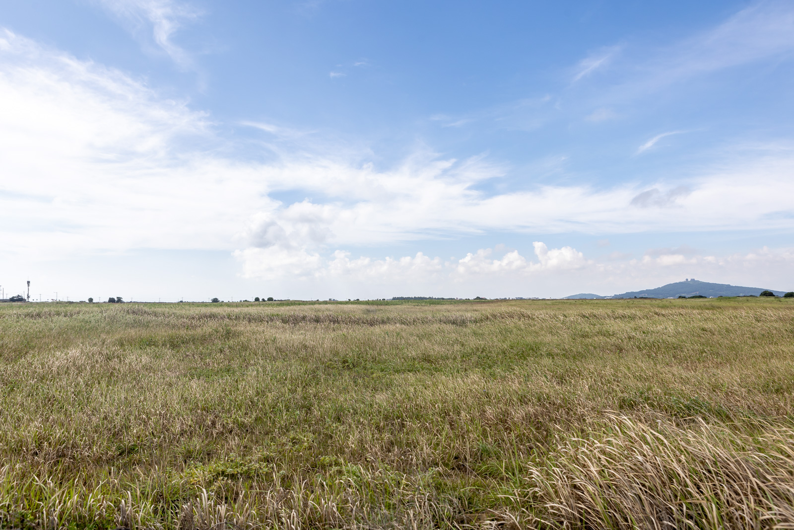 85f218996ab4f.jpg