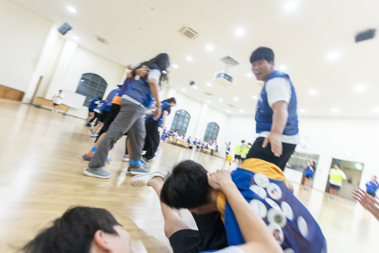 8d0615f119aae.jpg