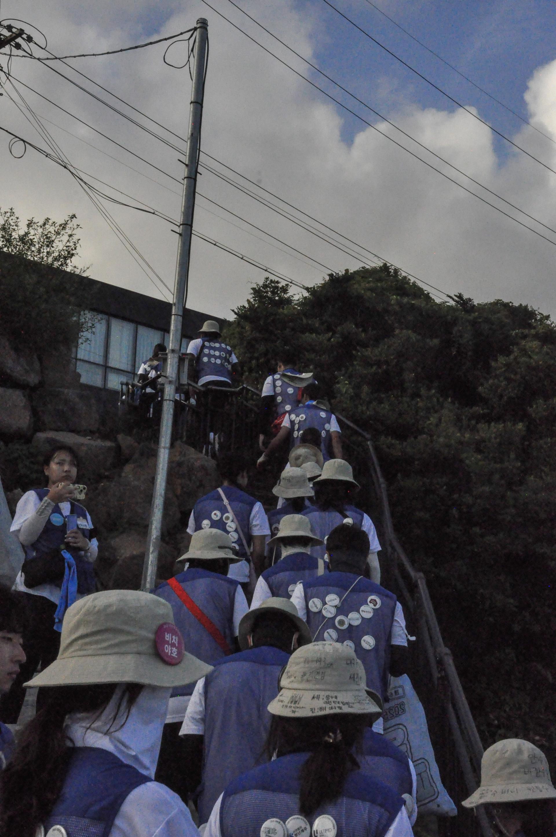 af3cff616bc7e.jpg