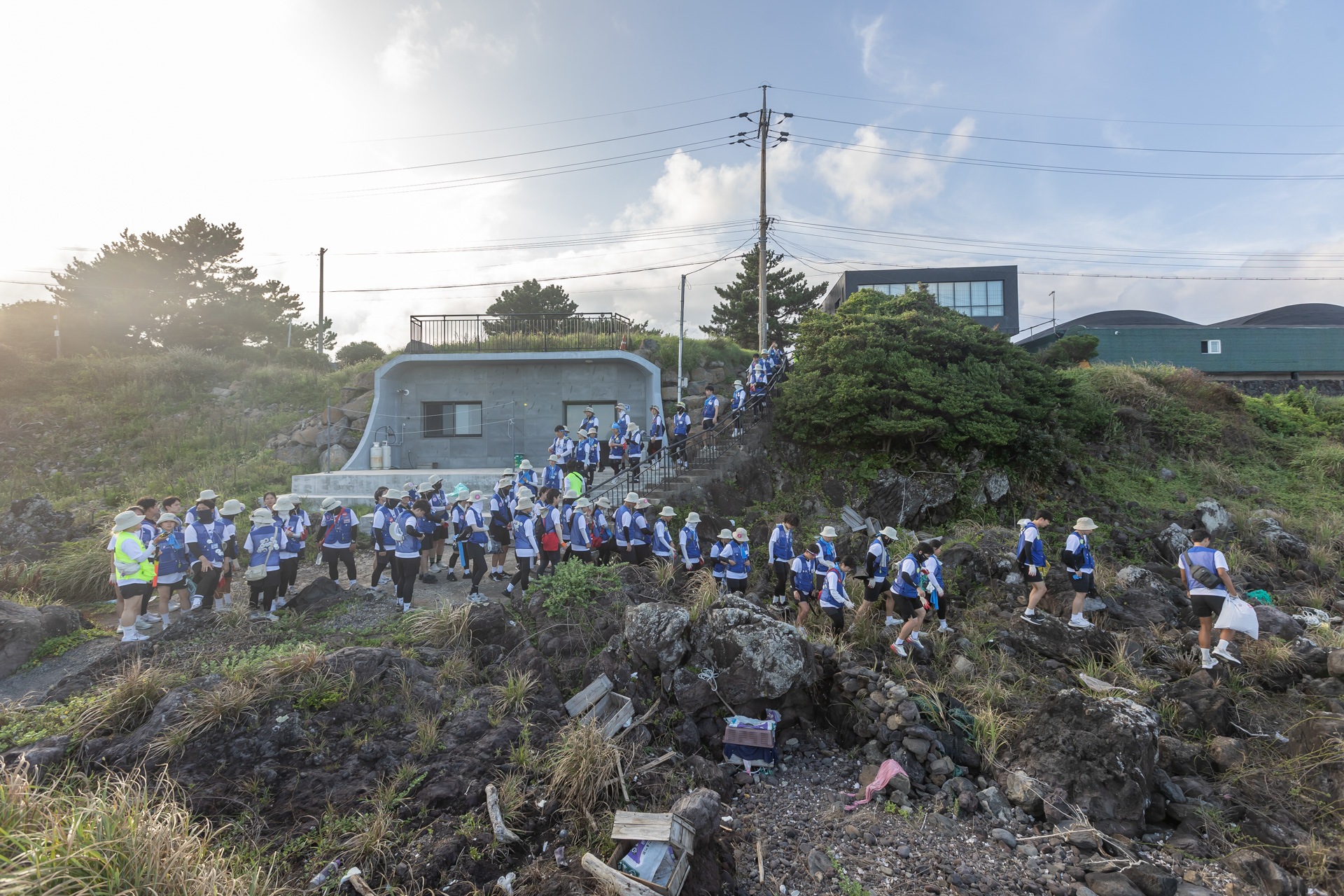 c9130d97a27f0.jpg