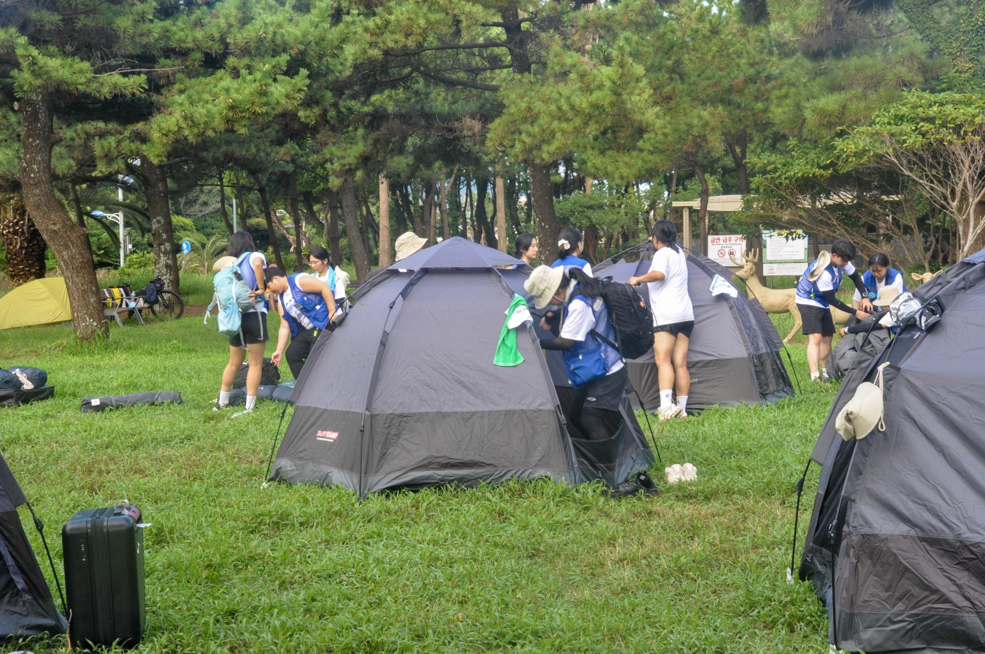 cbe043f2d7657.jpg