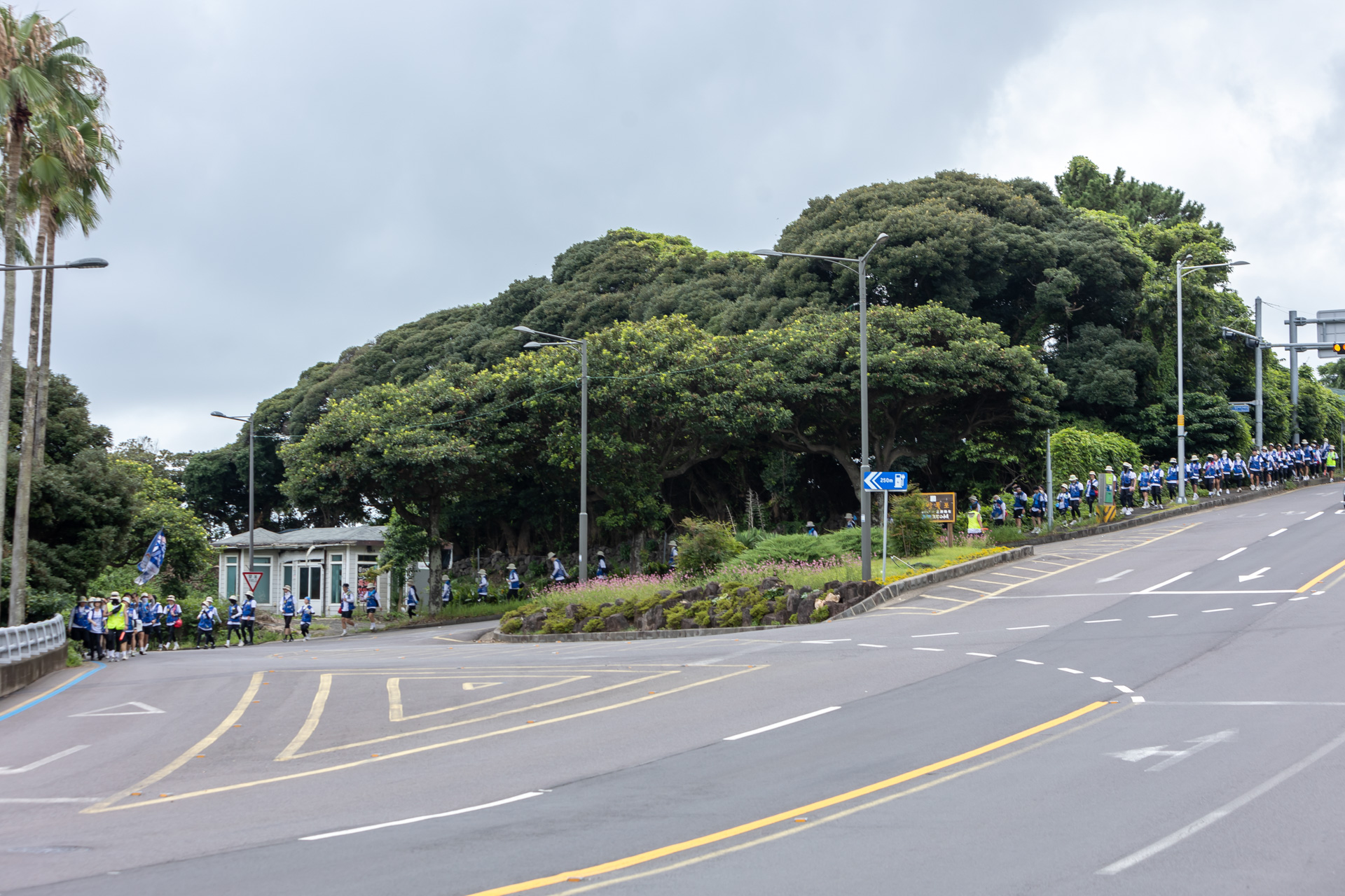 e5bf65996a858.jpg