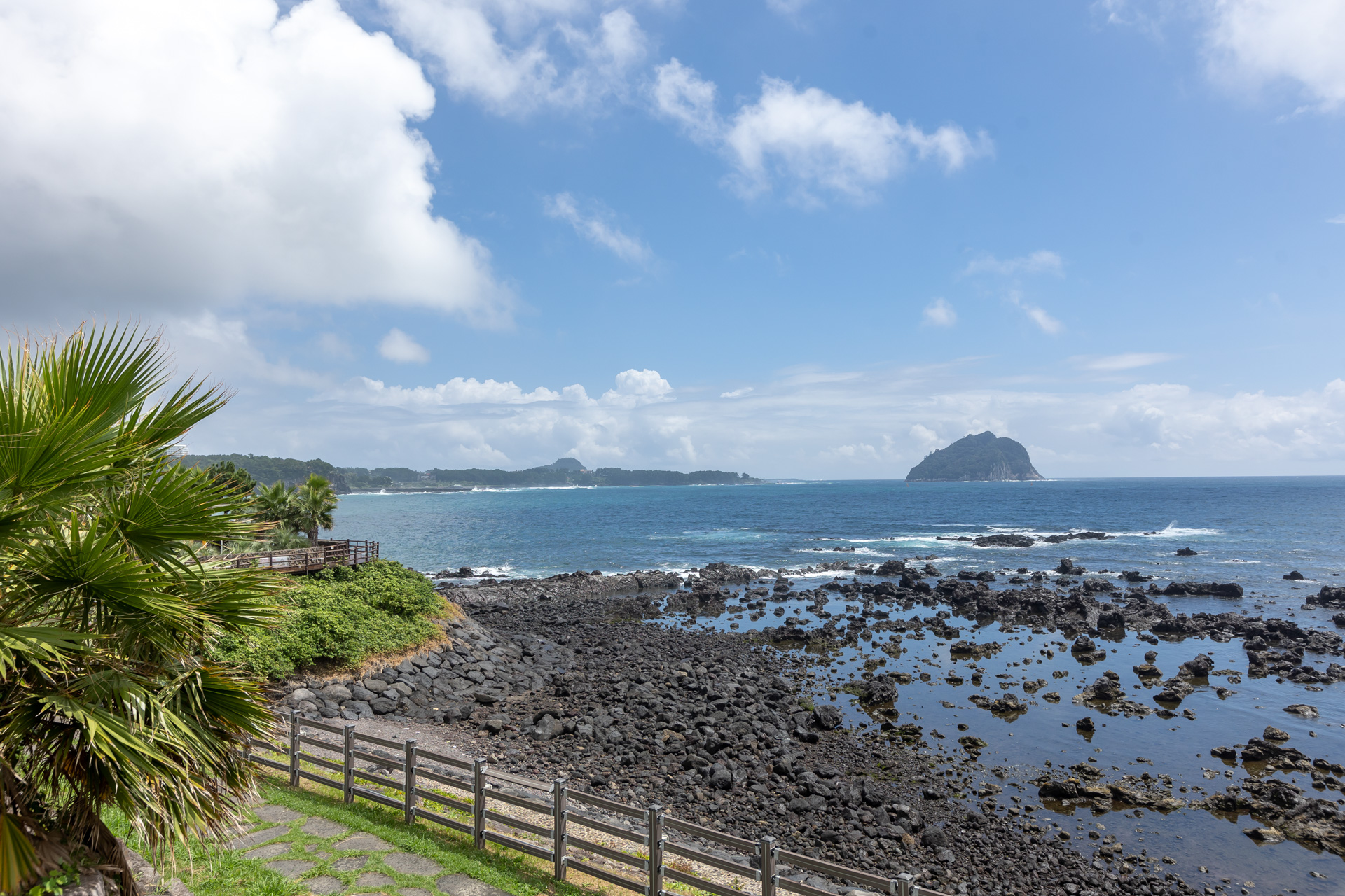 ff4879541c059.jpg
