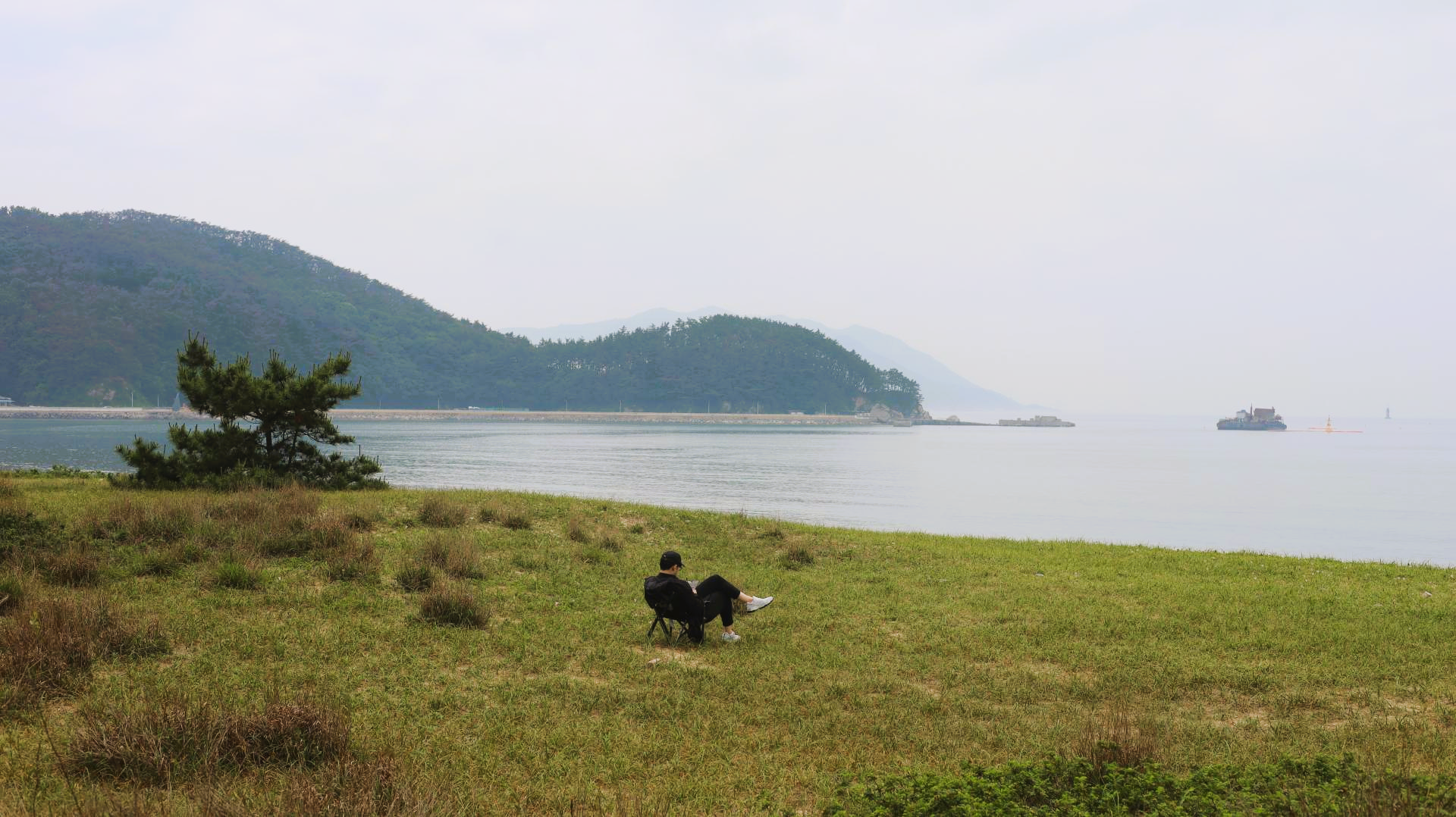 a546591d030fd.png