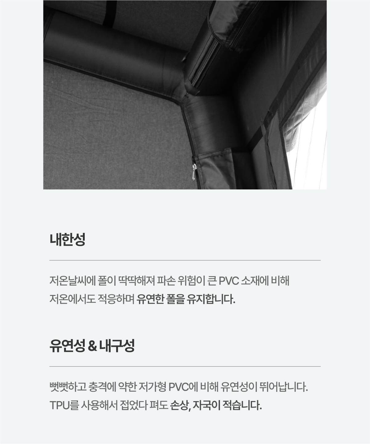 다이스쉘터 패밀리