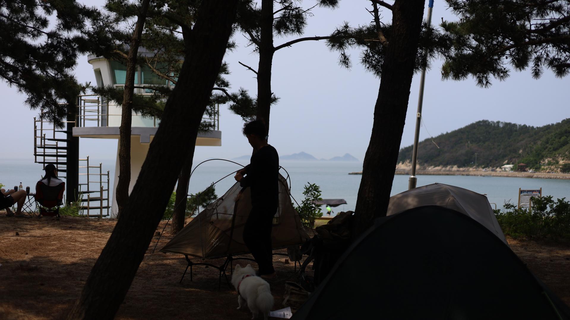 d7ff00851b6f5.jpg
