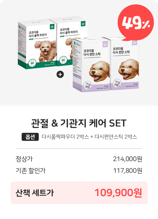 코코다움 관절 & 기관지 케어 SET