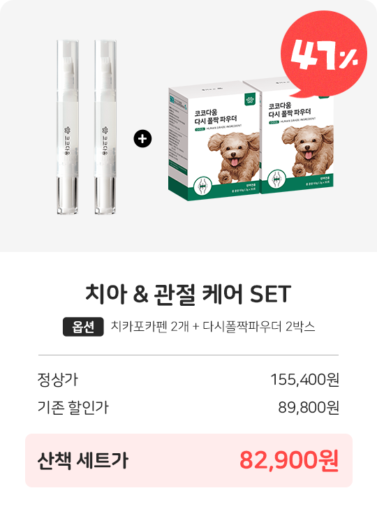 코코다움 치아 & 관절 케어 SET