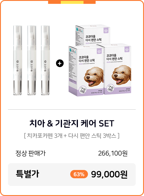 코코다움 치아 & 기관지 케어 SET