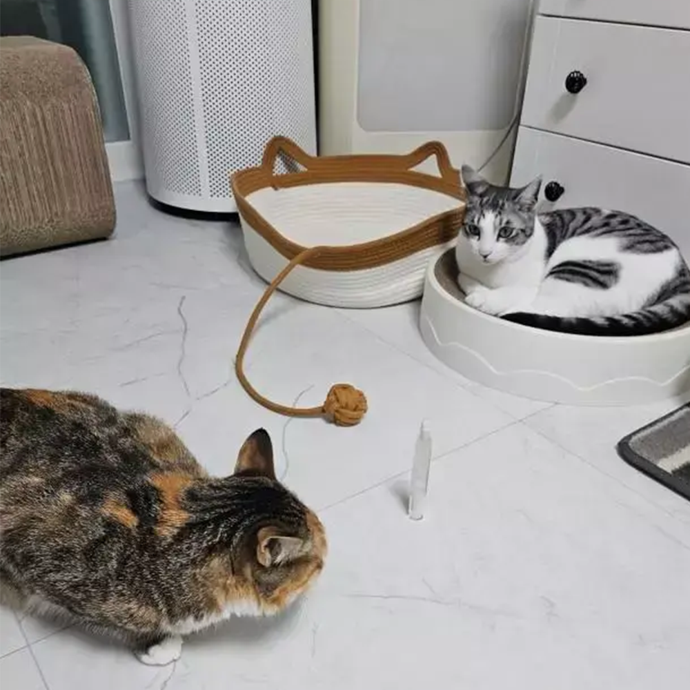 상품 리뷰이미지