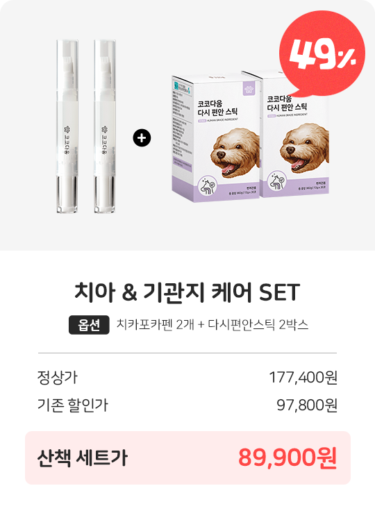 코코다움 기관지 & 치아 케어 SET 