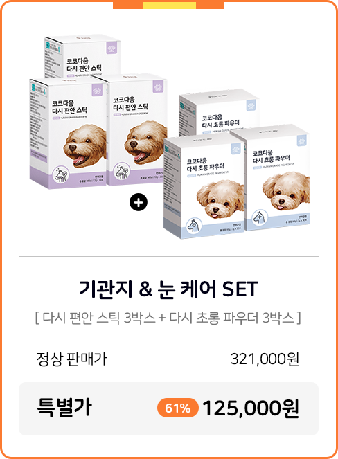 코코다움 기관지 & 눈 케어 SET 