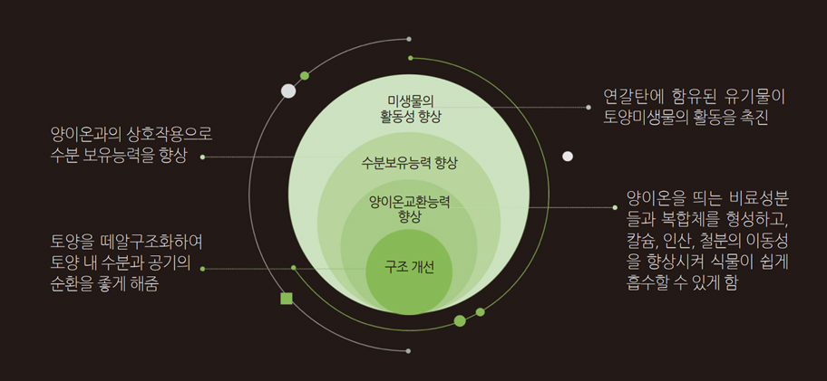 더블잭 서스펜션