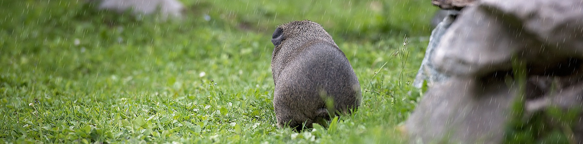 09636a5b358f0.png