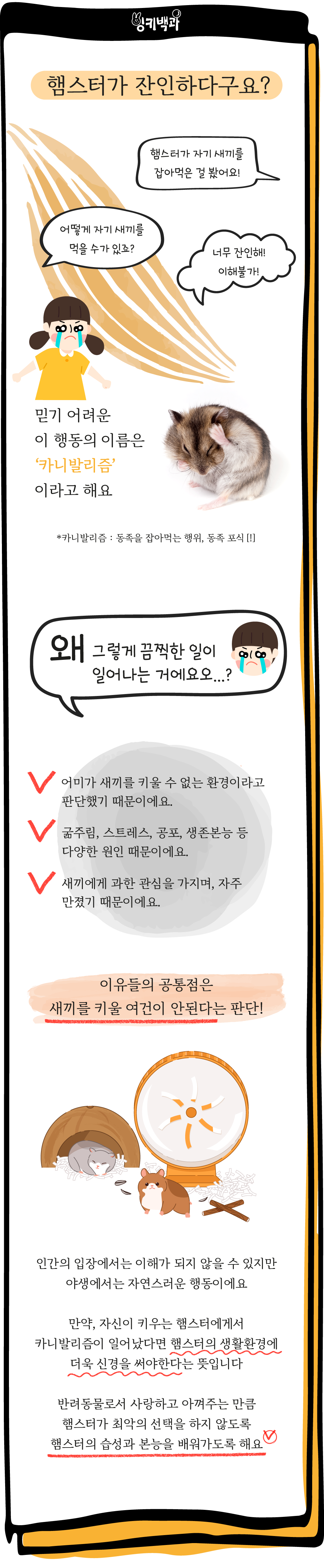 1dfd62ce934d0.png