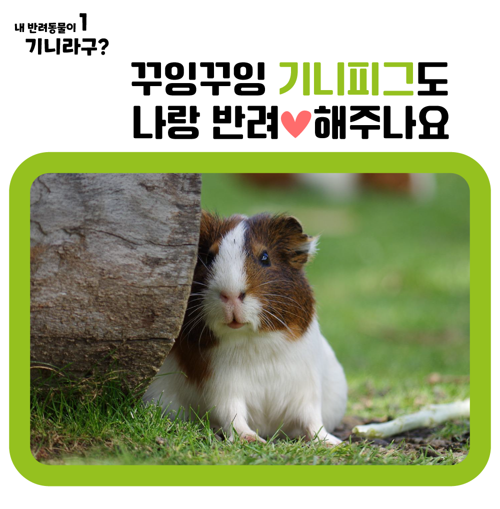 5b6e7e5588a28.png