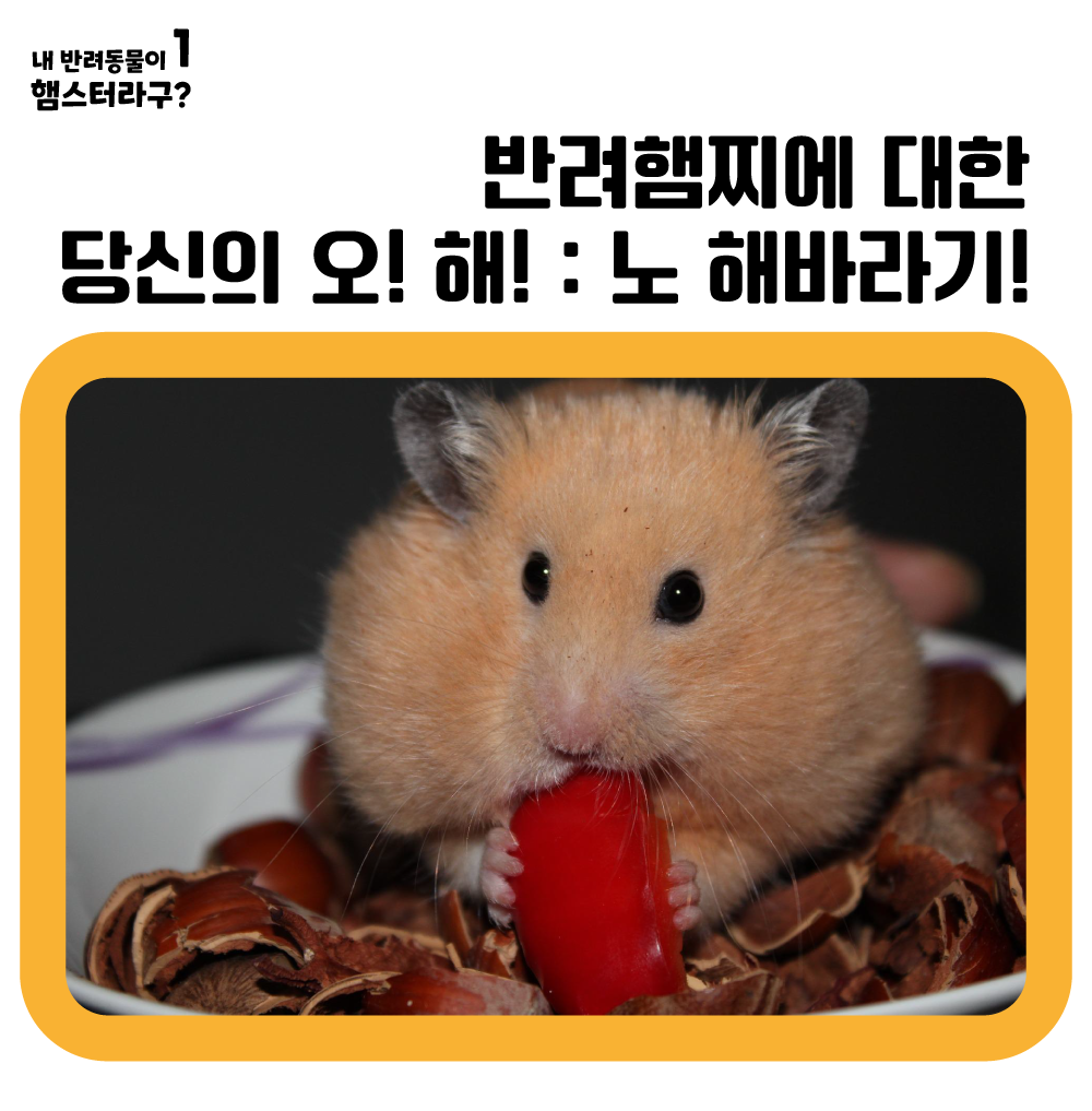 a0081798c74cd.png