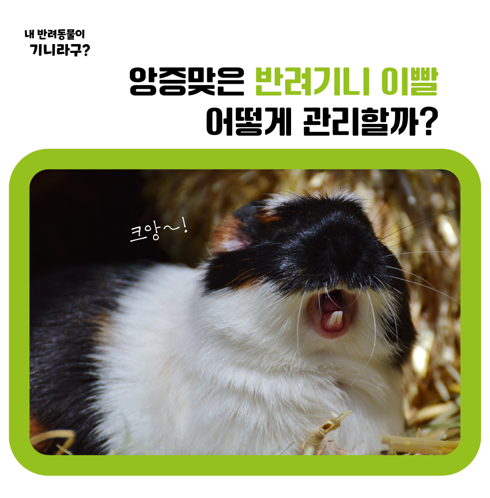 adcb7e31c92d5.png