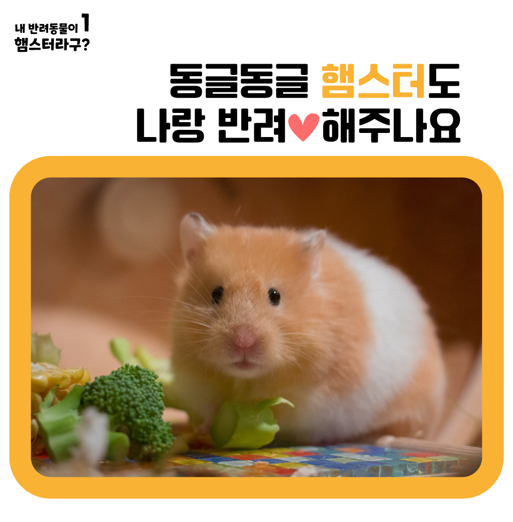 ef0bf1480e327.png