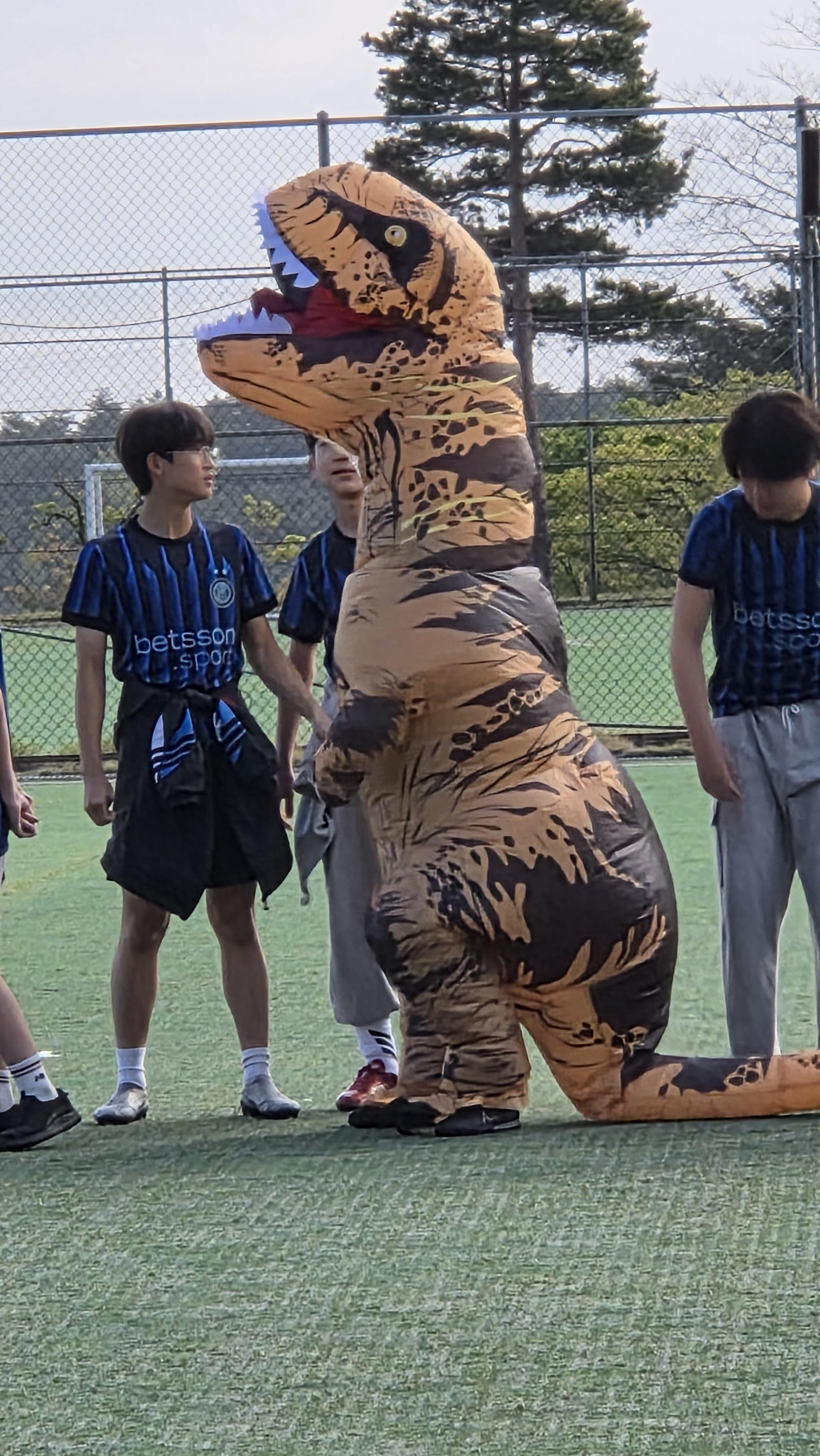 d863b0e7fb586.jpg