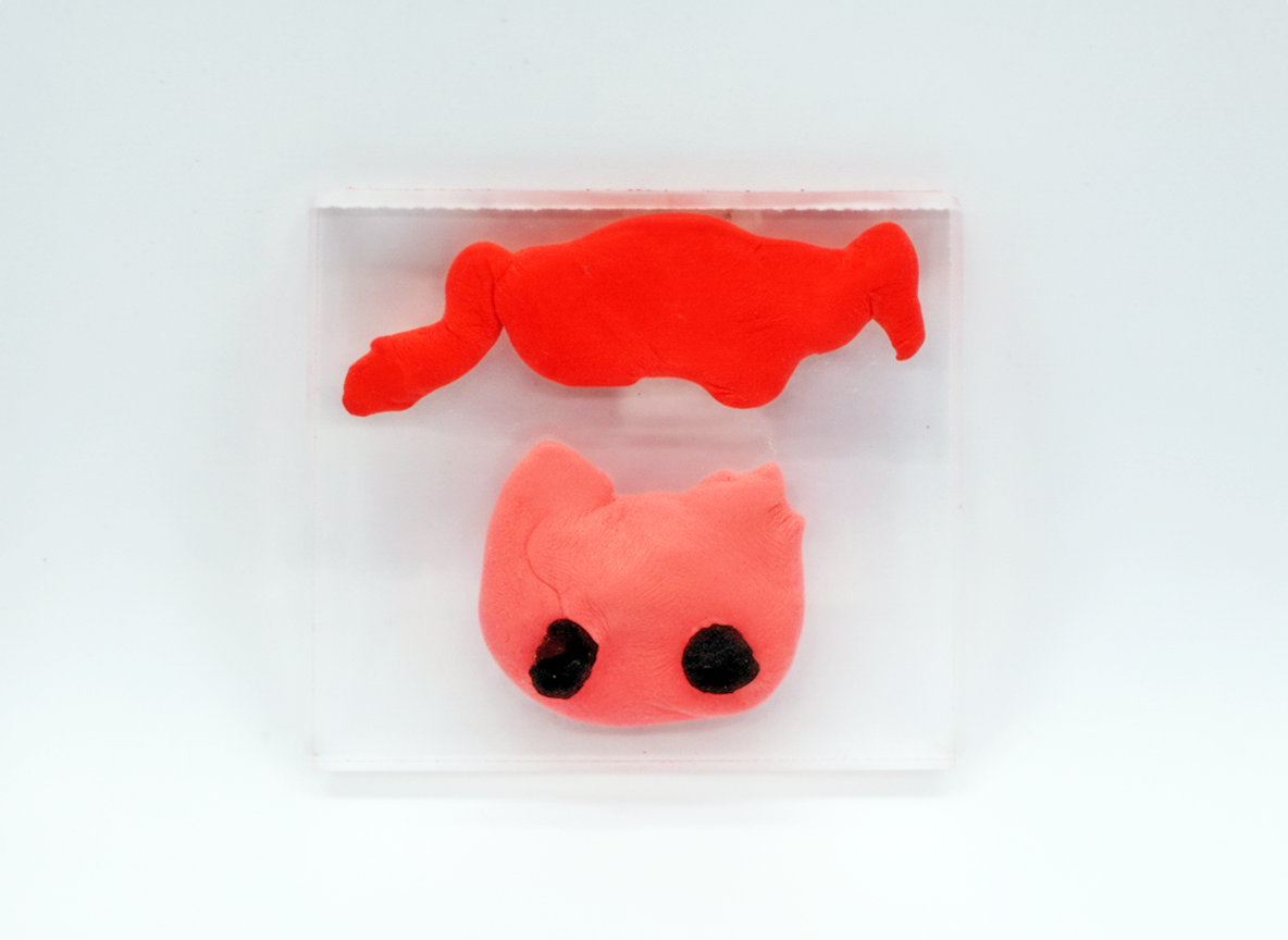 c3c2303ab2957.png