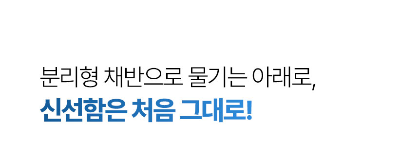 [러브워니 X 이지앤프리] 싱싱프레시 & 쿡세이프 모음