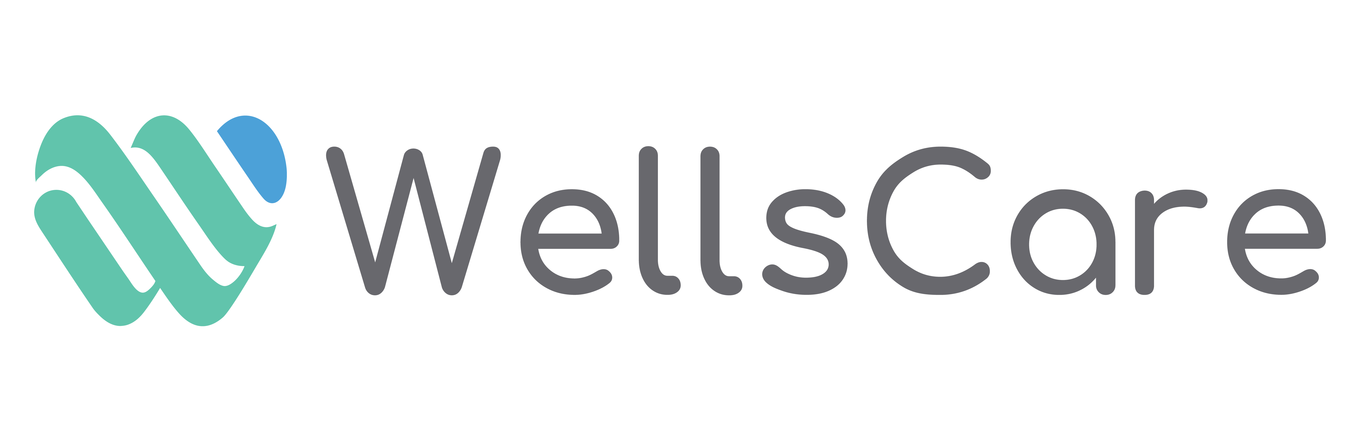 이아소 레이저 통증 의료기기 - wellscare