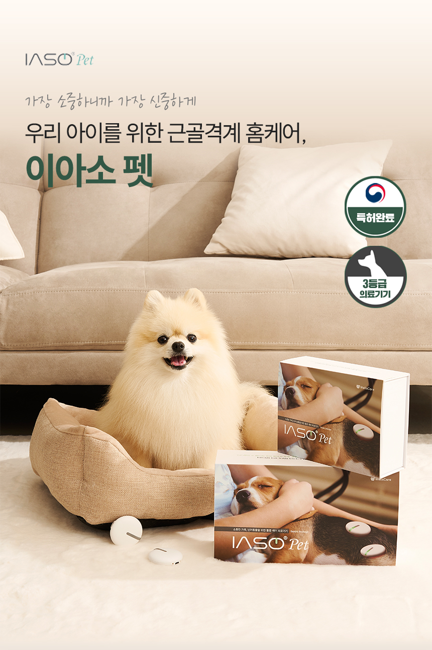 [본사공식사이트] 이아소펫 콜드레이저 슬개골통증 슬개골탈구 슬개구 관절염 고관절 반려동물 물리치료 관절치료(더블패키지)