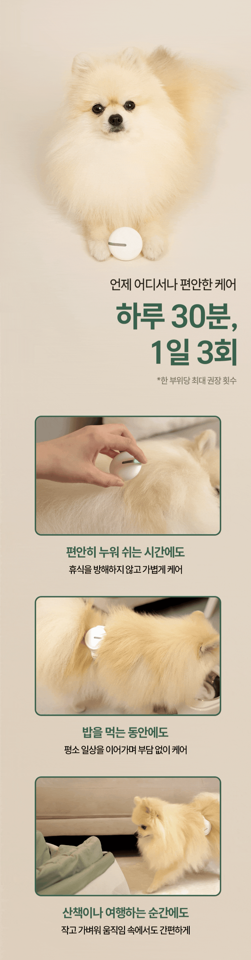 [본사공식사이트] 이아소펫 콜드레이저 슬개골통증 슬개골탈구 슬개구 관절염 고관절 반려동물 물리치료 관절치료(더블패키지)