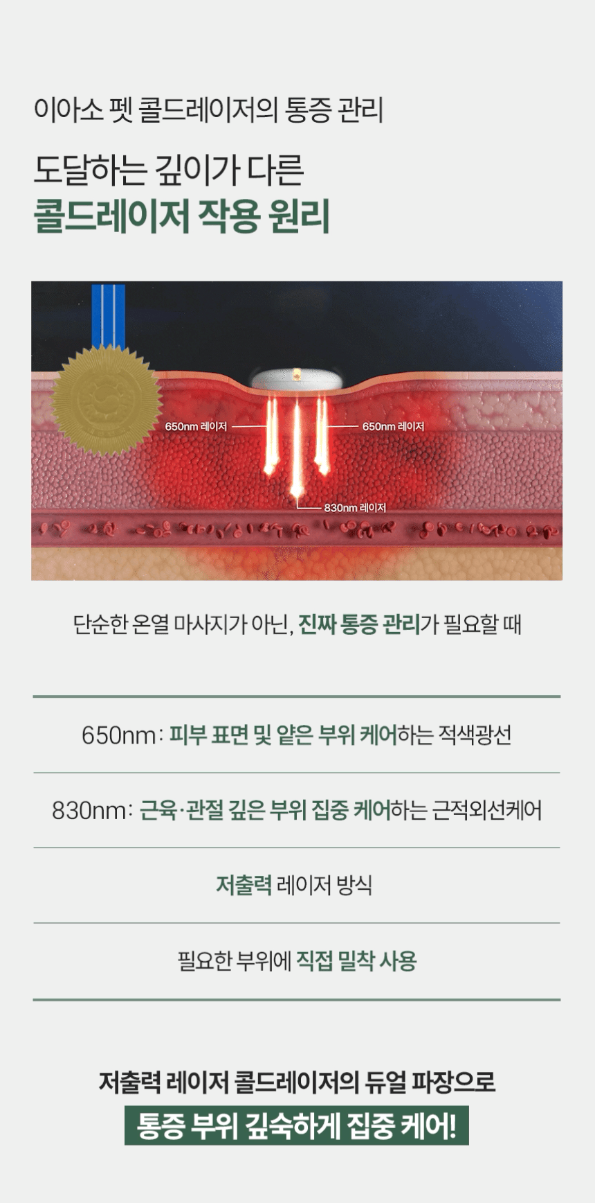 [본사공식사이트] 이아소펫 콜드레이저 슬개골통증 슬개골탈구 슬개구 관절염 고관절 반려동물 물리치료 관절치료(더블패키지)