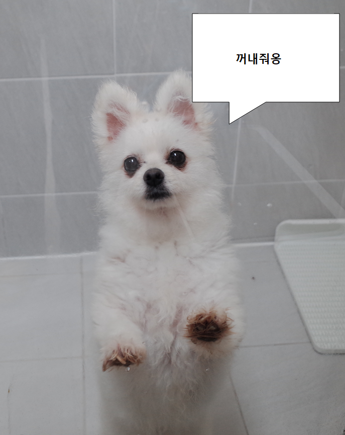 286d206e1f0b1.png