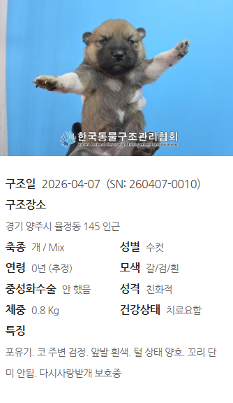 604a3cf295f06.png